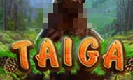 play Taiga online slot