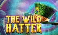 The Wild Hatter Online Slot