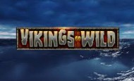 Vikings Go Wild slot