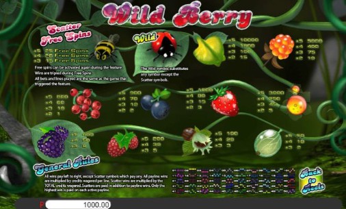 Wild Berry Bonus Round 1