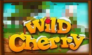 Wild Cherry online slot