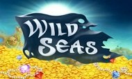 play Wild Seas online slot