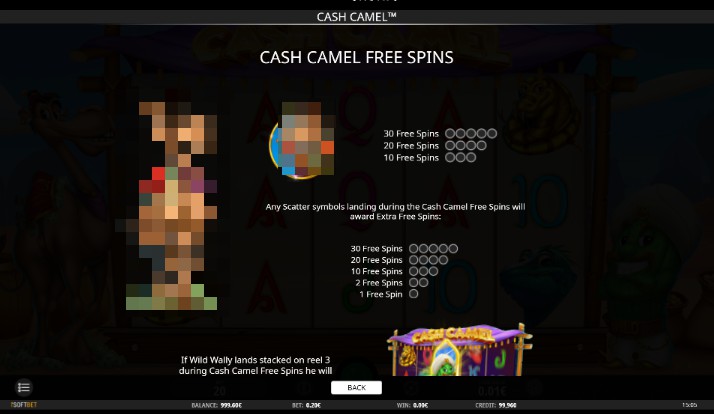 Cash Camel Bonus Round Feature