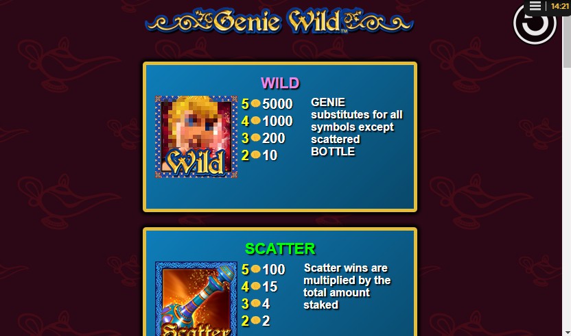 Genie Wild Bonus Round 1
