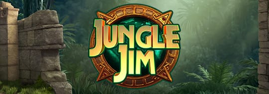 Top 5 Amazing Jungle Theme Slot Games with Outstanding Gains