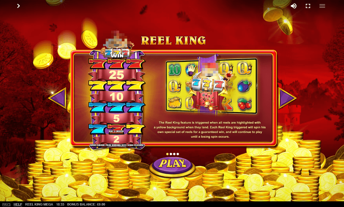 Reel King Mega Bonus Feature